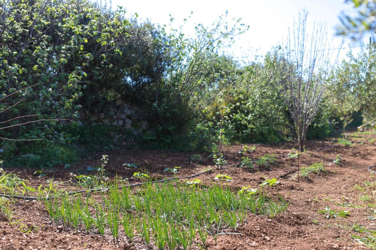 Holiday home Eden's Garden *